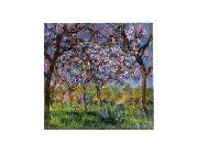 Claude Monet Printemps a Giverny China oil painting reproduction